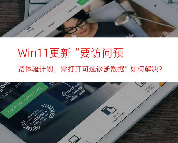 Win11更新“要访问预览体验计划，需打开可选诊断数据”如何解决？