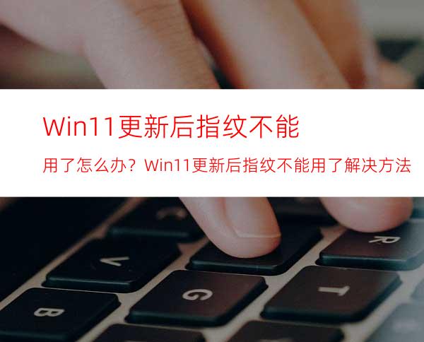 Win11更新后指纹不能用了怎么办？Win11更新后指纹不能用了解决方法