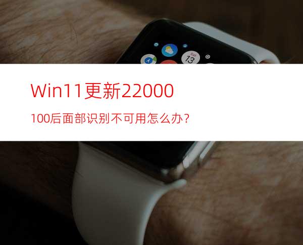 Win11更新22000.100后面部识别不可用怎么办？