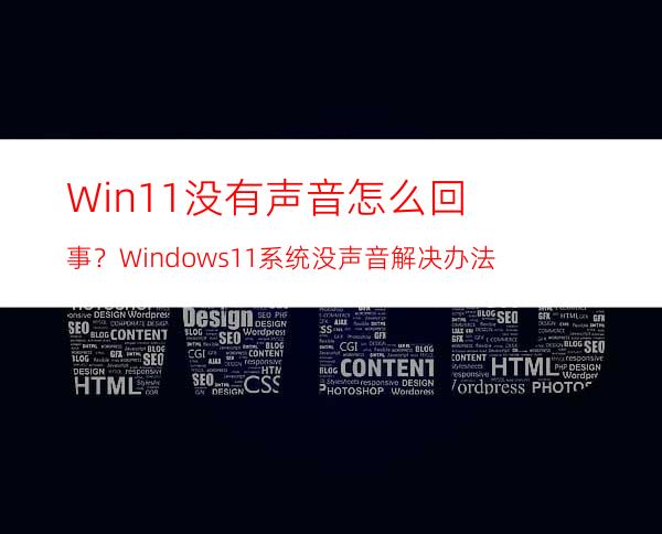 Win11没有声音怎么回事？Windows11系统没声音解决办法