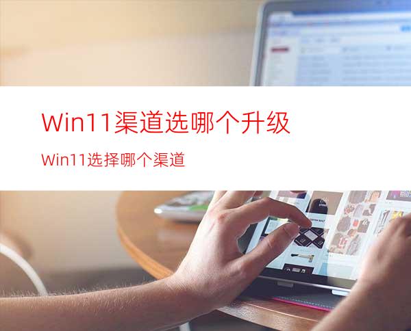 Win11渠道选哪个升级Win11选择哪个渠道