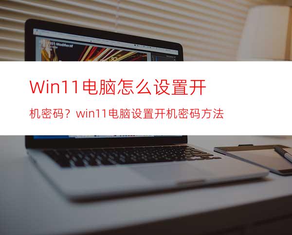 Win11电脑怎么设置开机密码？win11电脑设置开机密码方法