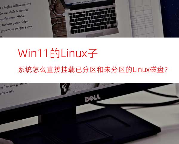 Win11的Linux子系统怎么直接挂载已分区和未分区的Linux磁盘？