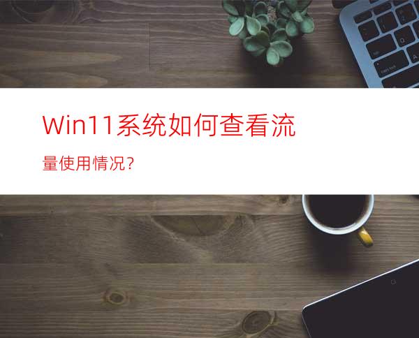 Win11系统如何查看流量使用情况？