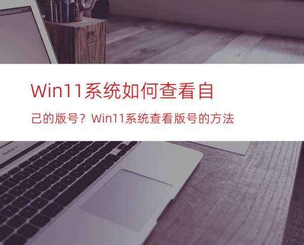 Win11系统如何查看自己的版号？Win11系统查看版号的方法