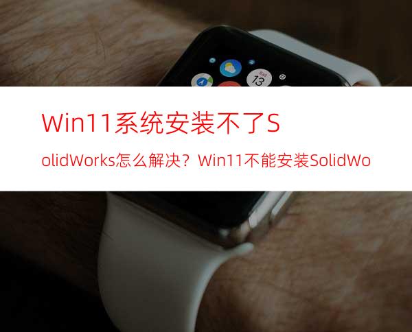 Win11系统安装不了SolidWorks怎么解决？Win11不能安装SolidWorks解决办法
