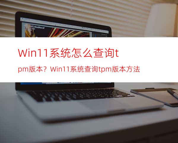 Win11系统怎么查询tpm版本？Win11系统查询tpm版本方法