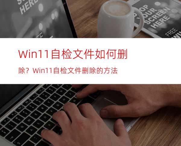 Win11自检文件如何删除？Win11自检文件删除的方法