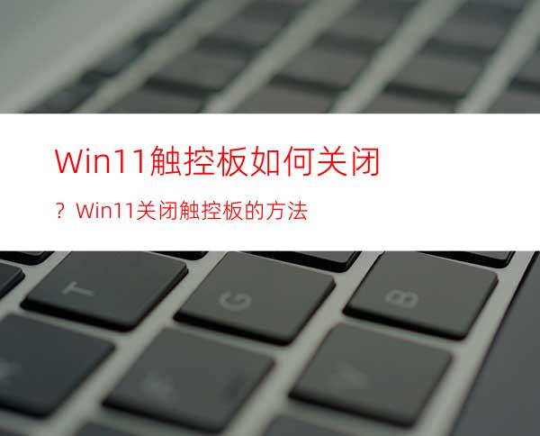 Win11触控板如何关闭？Win11关闭触控板的方法