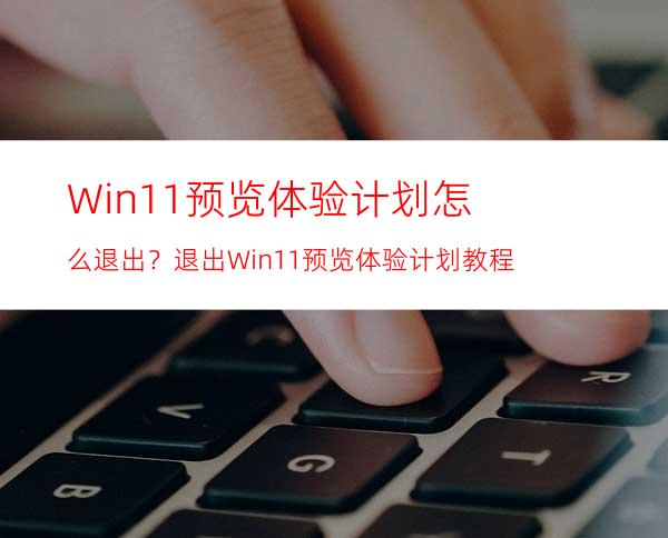 Win11预览体验计划怎么退出？退出Win11预览体验计划教程