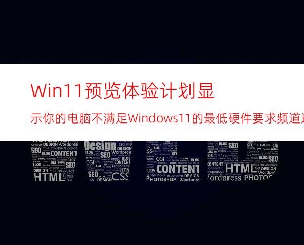 Win11预览体验计划显示:你的电脑不满足Windows11的最低硬件要求频道选项将受到限制