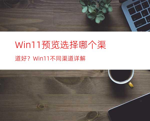 Win11预览选择哪个渠道好？Win11不同渠道详解