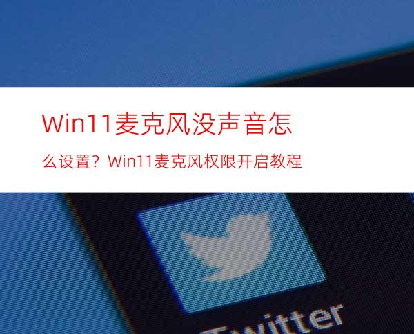 Win11麦克风没声音怎么设置？Win11麦克风权限开启教程