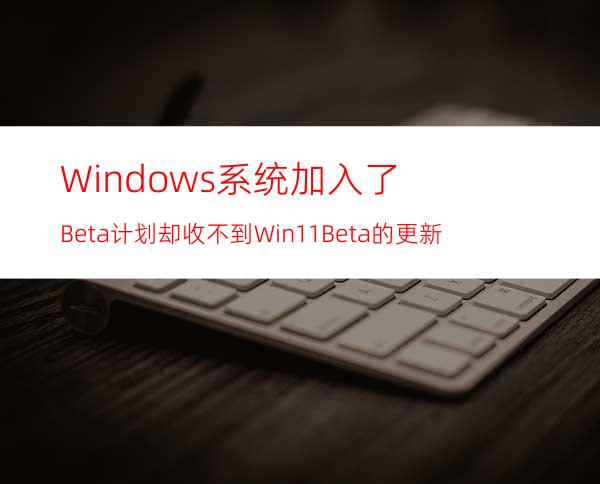 Windows系统加入了Beta计划却收不到Win11Beta的更新