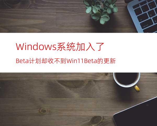 Windows系统加入了Beta计划却收不到Win11Beta的更新