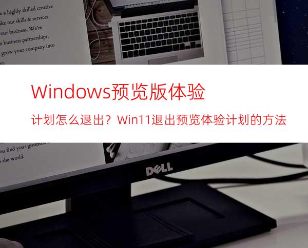 Windows预览版体验计划怎么退出？Win11退出预览体验计划的方法