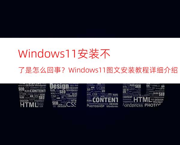 Windows11安装不了是怎么回事？Windows11图文安装教程详细介绍