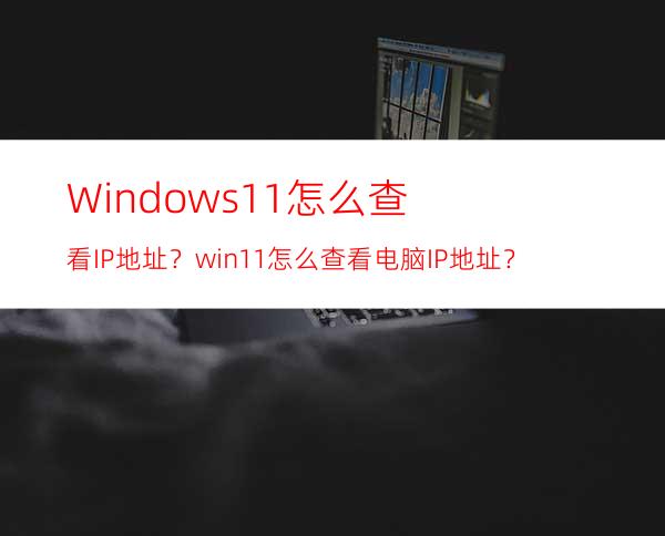 Windows11怎么查看IP地址？win11怎么查看电脑IP地址？