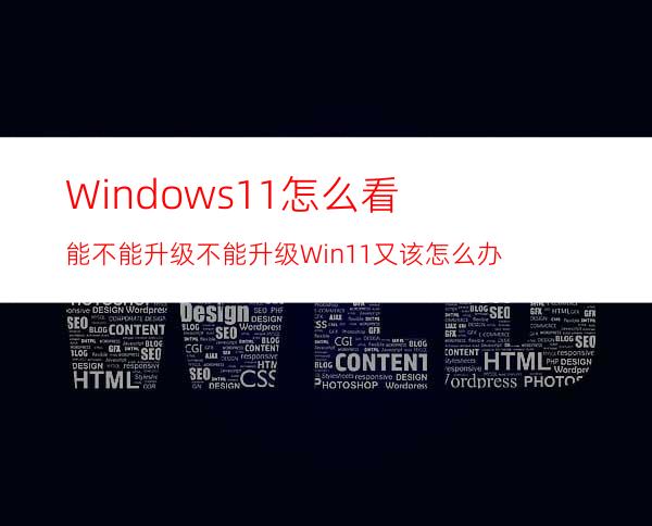 Windows11怎么看能不能升级不能升级Win11又该怎么办