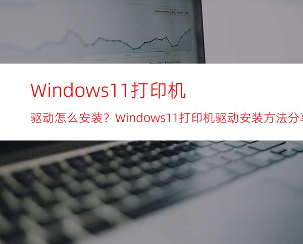 Windows11打印机驱动怎么安装？Windows11打印机驱动安装方法分享