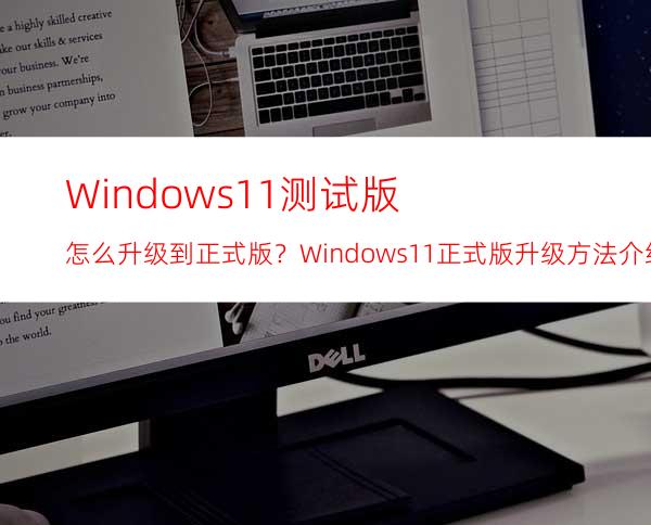 Windows11测试版怎么升级到正式版？Windows11正式版升级方法介绍