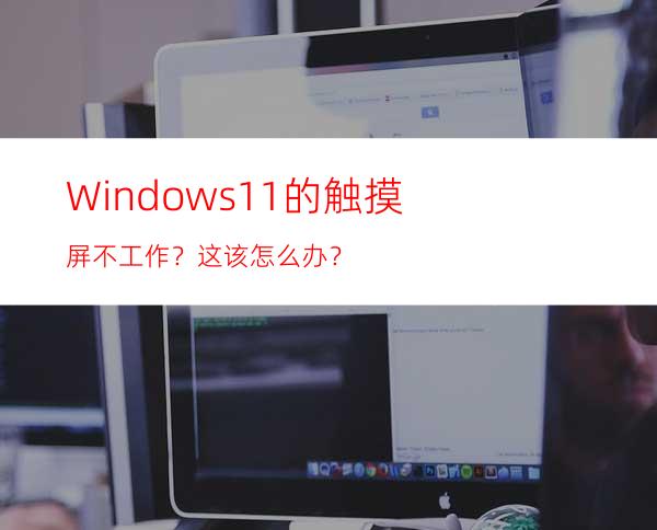 Windows11的触摸屏不工作？这该怎么办？