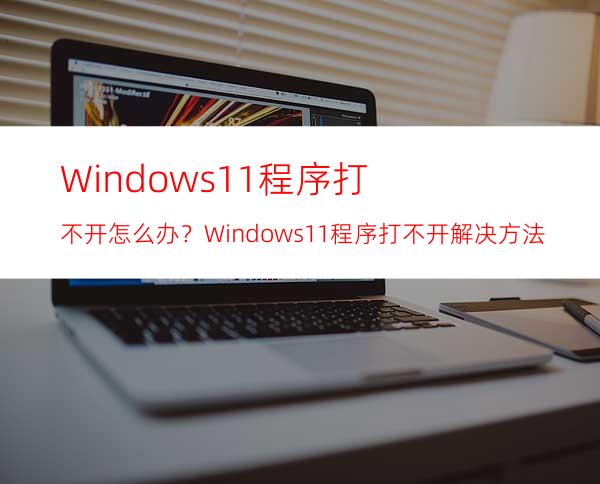 Windows11程序打不开怎么办？Windows11程序打不开解决方法