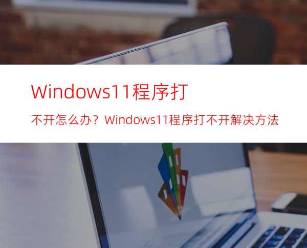 Windows11程序打不开怎么办？Windows11程序打不开解决方法