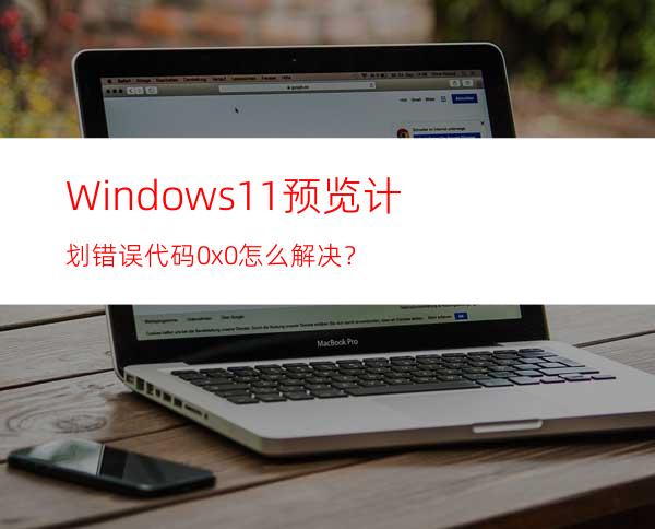 Windows11预览计划错误代码0x0怎么解决？