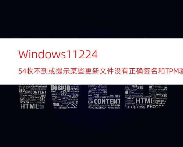 Windows1122454收不到或提示某些更新文件没有正确签名和TPM验证通不过解决方法