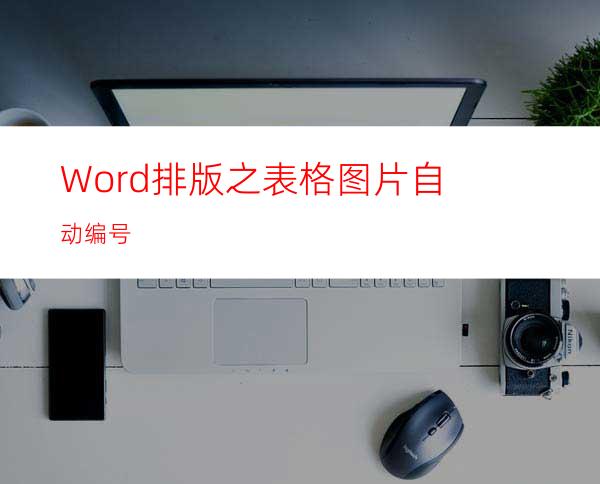 Word排版之表格图片自动编号
