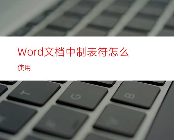 Word文档中制表符怎么使用