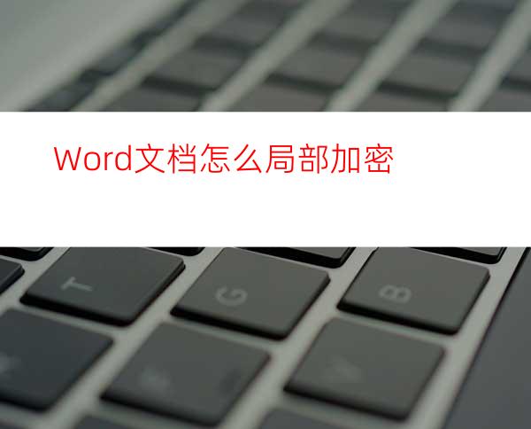 Word文档怎么局部加密