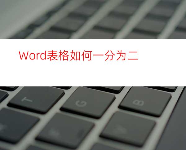 Word表格如何一分为二