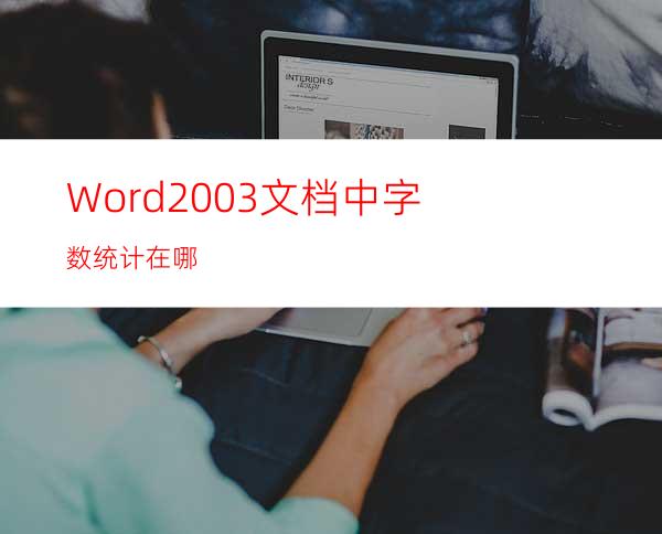 Word2003文档中字数统计在哪?