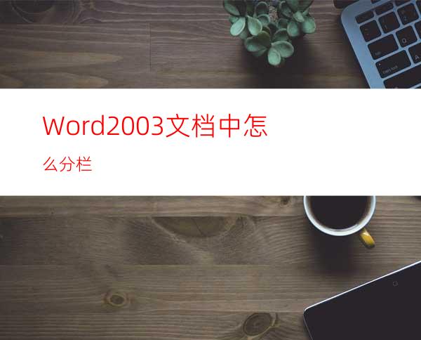 Word2003文档中怎么分栏