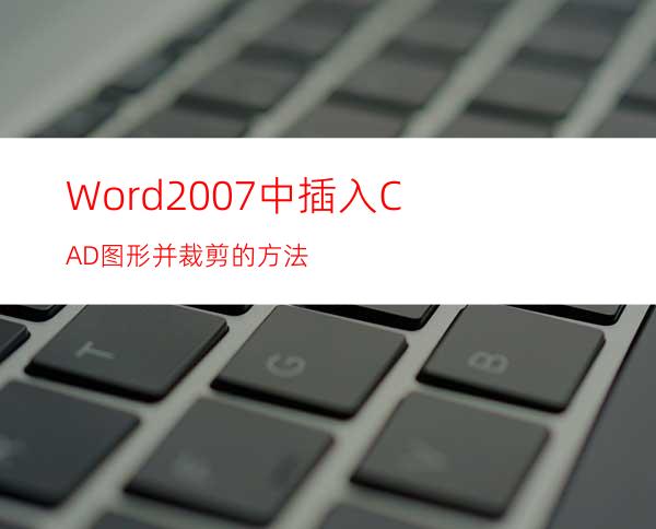 Word2007中插入CAD图形并裁剪的方法