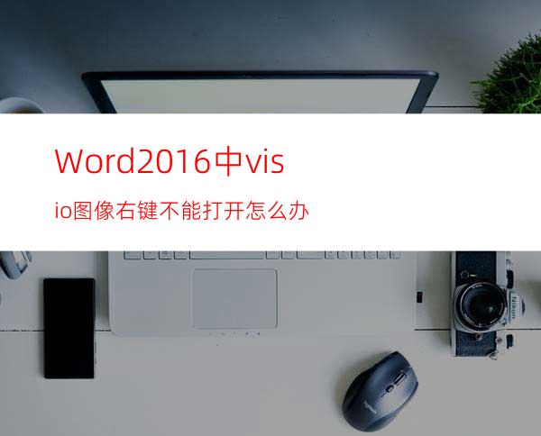 Word2016中visio图像右键不能打开怎么办