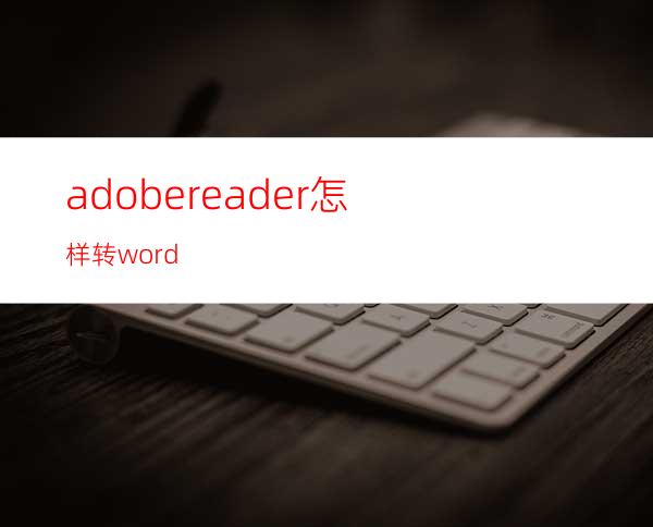 adobereader怎样转word