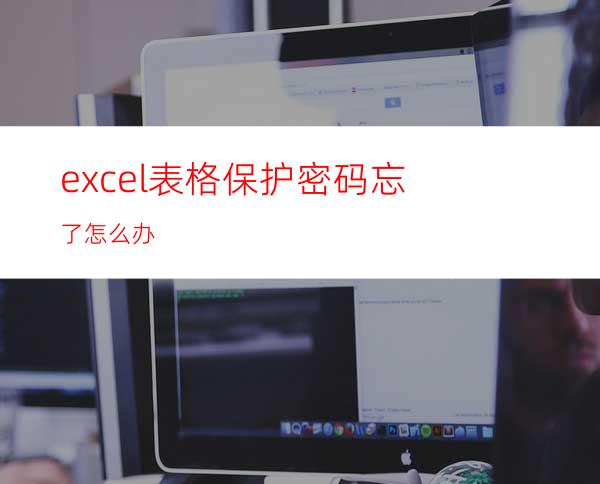 excel表格保护密码忘了怎么办