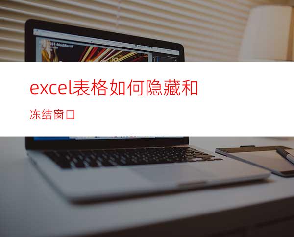 excel表格如何隐藏和冻结窗口
