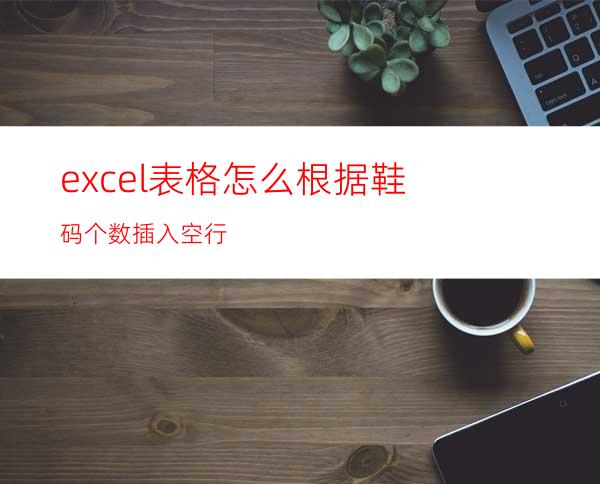 excel表格怎么根据鞋码个数插入空行?