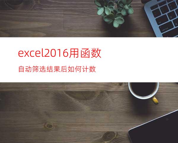 excel2016用函数自动筛选结果后如何计数