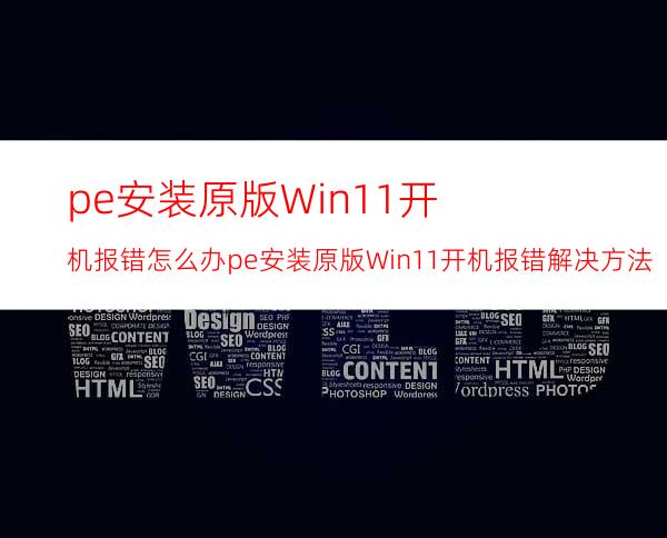 pe安装原版Win11开机报错怎么办pe安装原版Win11开机报错解决方法