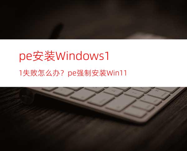 pe安装Windows11失败怎么办？pe强制安装Win11
