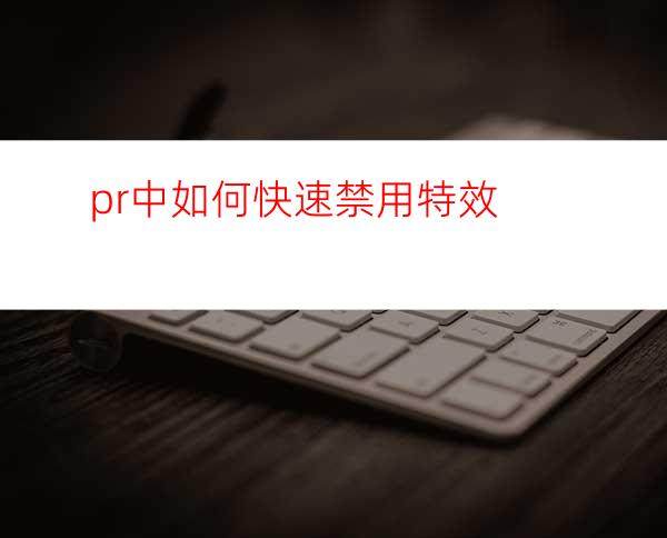 pr中如何快速禁用特效