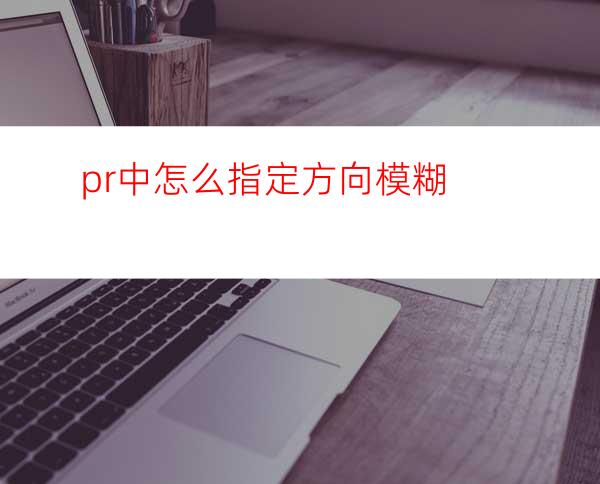 pr中怎么指定方向模糊