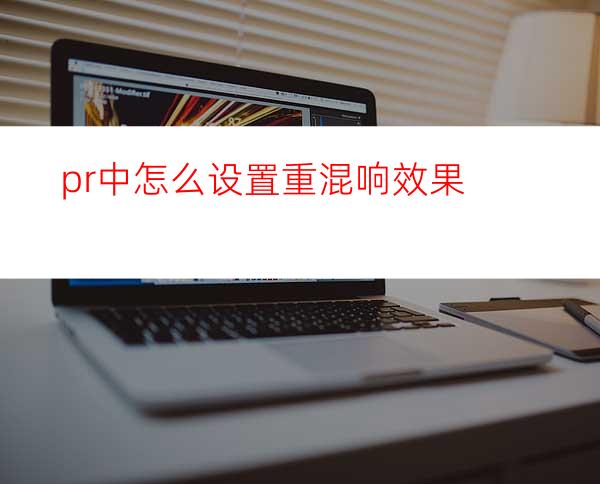 pr中怎么设置重混响效果