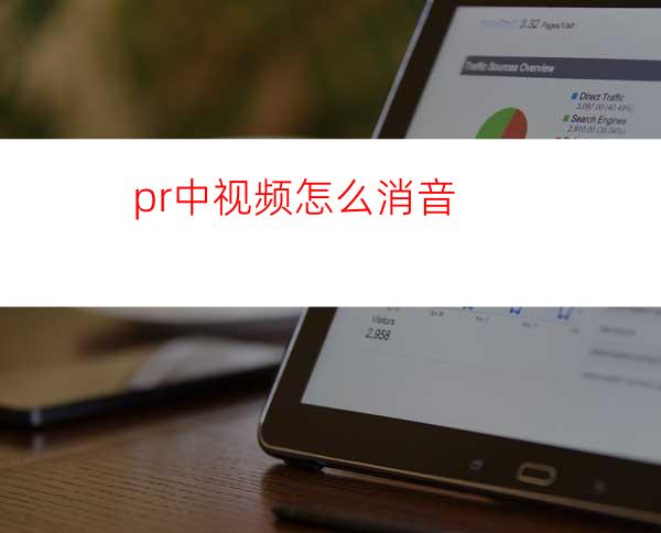 pr中视频怎么消音