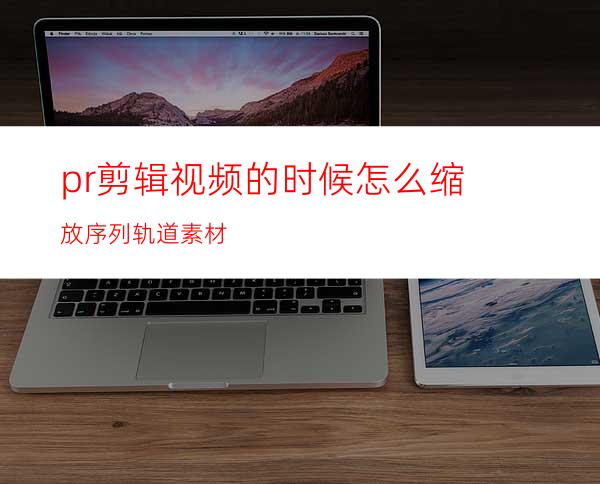 pr剪辑视频的时候怎么缩放序列轨道素材
